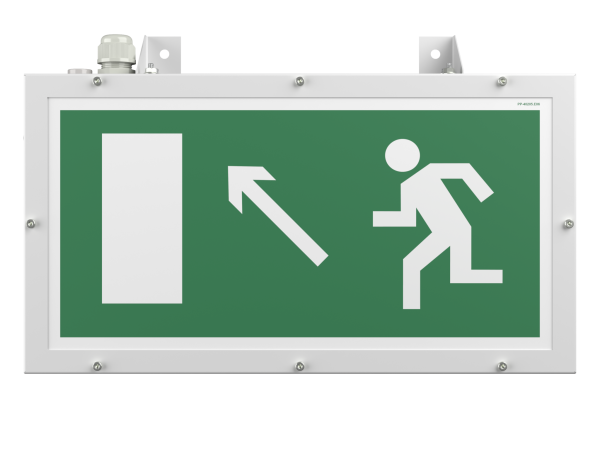 Купить Белый свет Световой указатель BS-FLAGMAN-51-S1-INEXI3 a15667