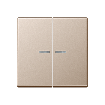 JUNG A 500 Шампань Клавиша 2-ая с/п A595KO5CH