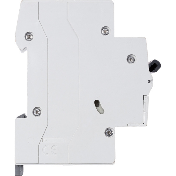 Купить Legrand RX3 Автоматический выключатель 1P 50А (C) 4,5kA 419669