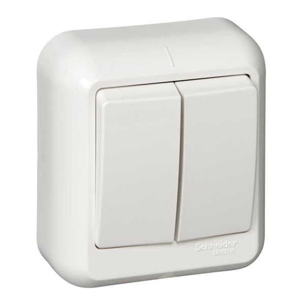 SE Wessen Прима наруж Бел Выключатель 2-клавишный 10А, монтажная пластина (в сборе)(опт.упак.) VA5U-214M-B