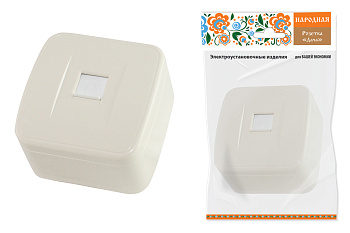 TDM Розетка TФ (RJ-11) открытой установки IP20, сл. кость "Дача" Народная SQ1824-0025