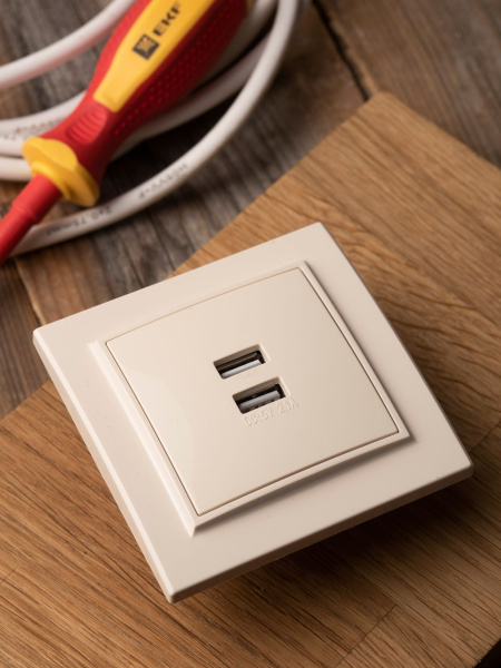 Купить EKF Basic Минск Бежевый Розетка USB 2-ая, 2,1А, СП