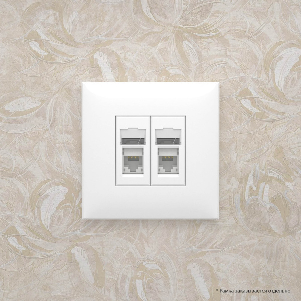 Купить DKC Компьютерная розетка RJ-45 в стену, кат.5e двойная, "Avanti", "Белое облако"
