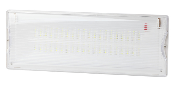 ЭРА DPA-301-0-65 Светильник светодиодный аварийный непостоянный 40LED 3ч IP65 NiCD