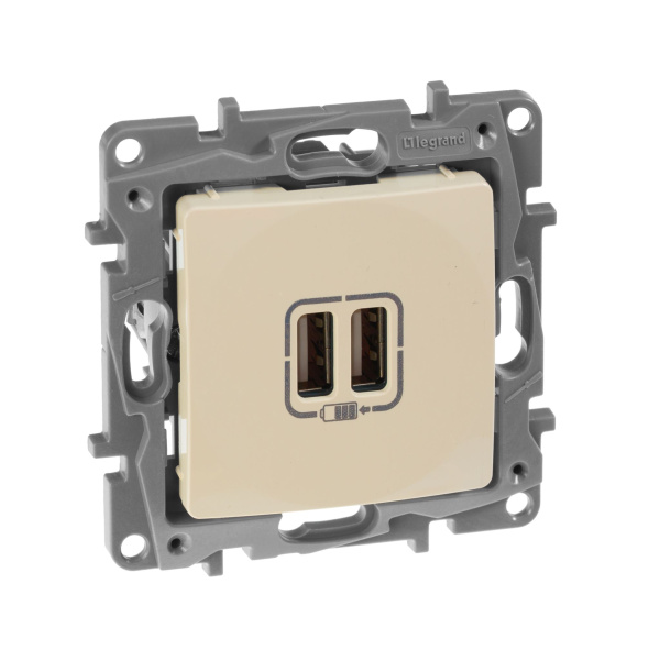 Купить Legrand Etika Слоновая кость Розетка USB 2-ая 240В/5В 2400мА 672394