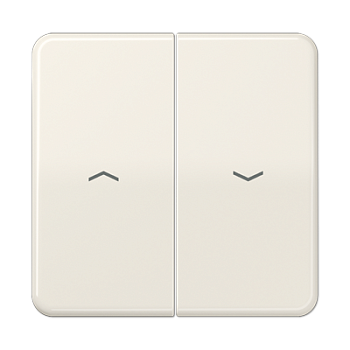 JUNG CD Бежевая Клавиша 2-ая жалюзийная ударопрочная ударопрочная CD595PBF