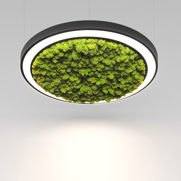 RINGI 50 MOSS S 27W 3000K Ra80 220V IP20 (1-10V) / Светильник LED, 620мм (подвесной) (Briaton) ЧЕРНЫЙ 006S-27W3K-620BK DIM