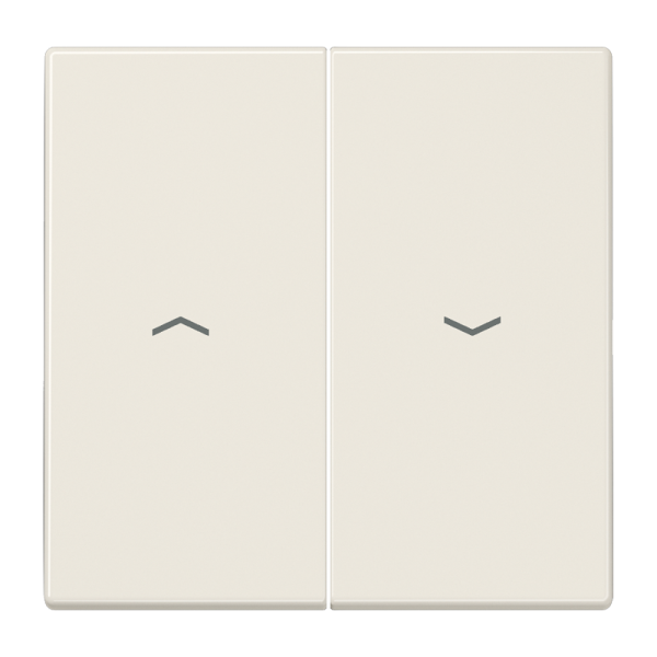 JUNG LS 990 Бежевая Клавиша 2-ая жалюзийная LS995P