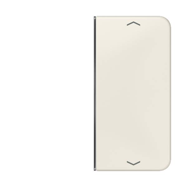 JUNG клавиша с символом для 2-клавишного пульта KNX, слоновая кость, для серии CD CD402TSAP