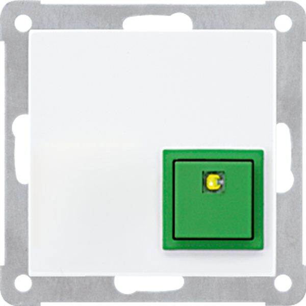 JUNG клавиша сброс, белый NRSAS0834ATWW