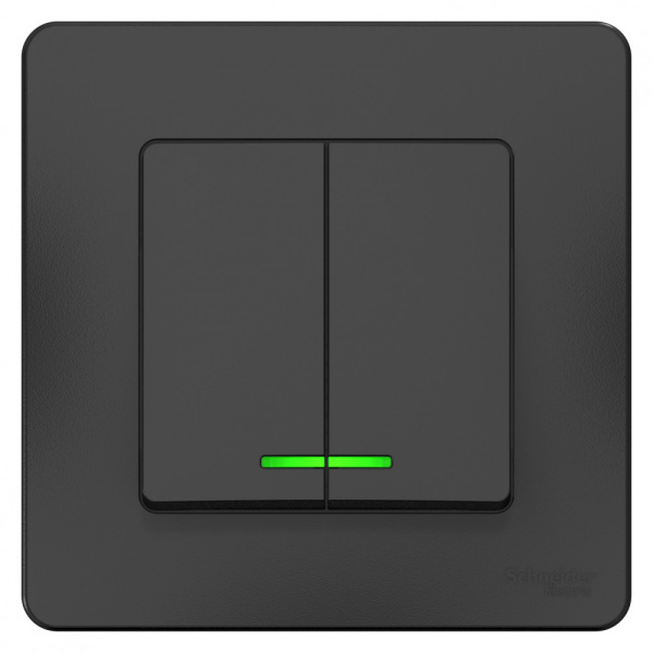 Systeme Electric Blanca внутр Антрацит Выключатель 2-клавишный с подсветкой, 10А, 250B