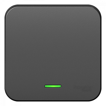 Systeme Electric Blanca наруж Антрацит Переключатель 1-клавишный с подсветкой 10А, 250B, изолир. пластина