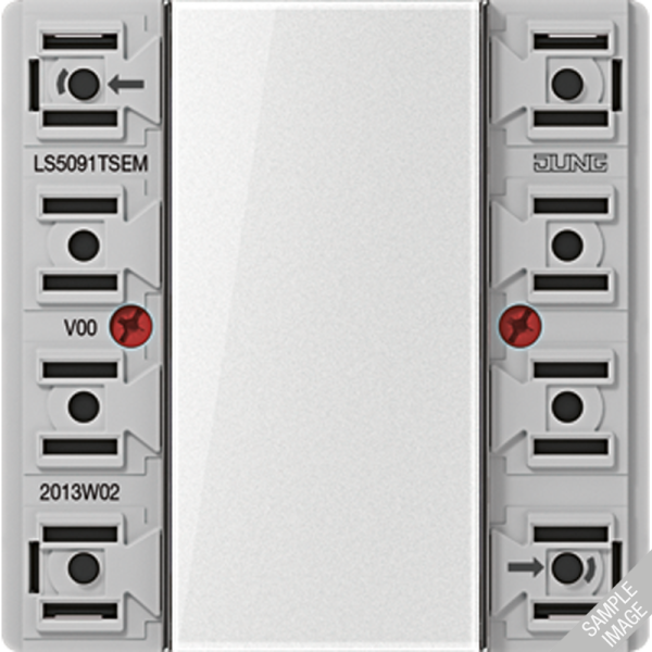 JUNG Модуль дополнительный кнопочный универсальный 4гр LS5094TSEM