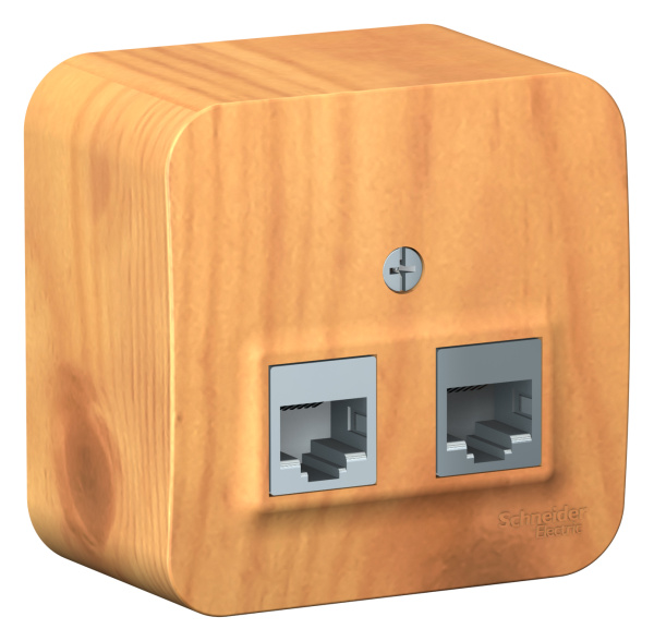 Купить Systeme Electric Blanca наруж Ясень Розетка 2-ая компьютерная RJ45, кат.5E, изолир. пластина