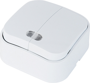 Horoz Electric 112-002-0002 10A/250V~ Двойной выкл накладной с подсветкой EVA (2-GANG ILLUMINATED ONE WAY SWITCH) HRZ01001489