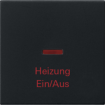 Gira Клавиша "Аварийный выключатель отопления" 0678005