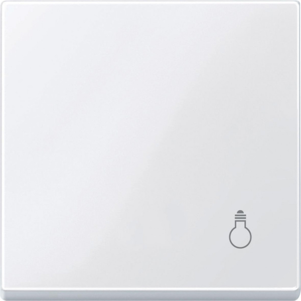 Купить SE Merten SM Бел Актив Клавиша с пиктограммой «свет» MTN438925