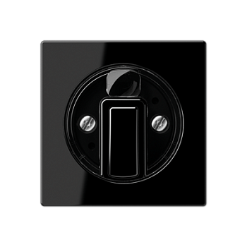 JUNG Накладка поворотного механизма черный A1541BFSW