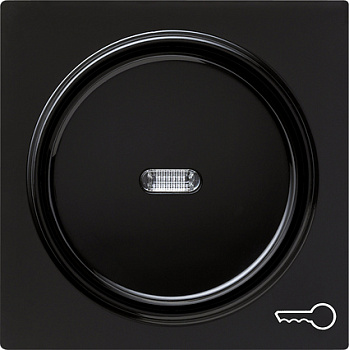 Gira Клавиша с пиктограммой "ключ" 028747