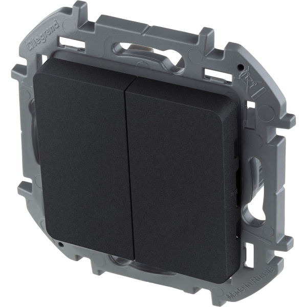 Купить Legrand INSPIRIA Антрацит Выключатель двухклавишный 10 AX - 250 В 673623