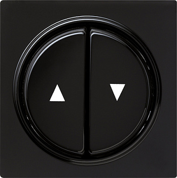 Gira S-Color Черный Клавиша 2-ая 029447