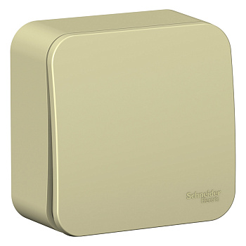 Systeme Electric Blanca наруж Беж Выключатель 1-клавишный (cх.1) изолир. пластина 10А, 250B