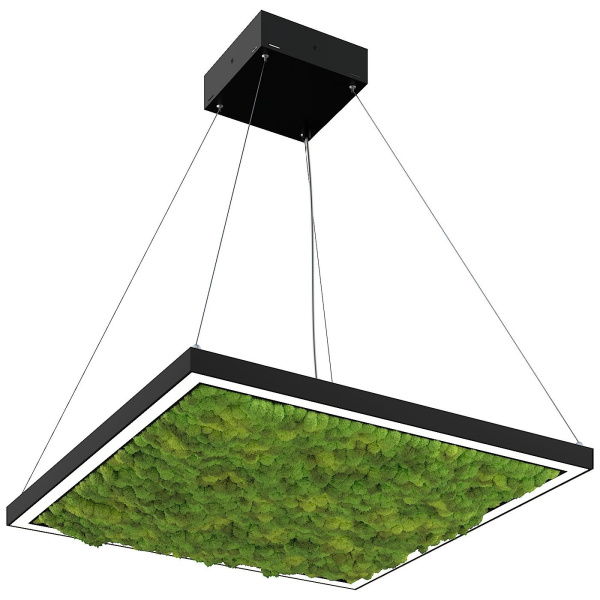 Svetholl Глоу мосс (Квадрат тонкий профиль) L250 Мощность: 13W ISGMK2-035035-025030013