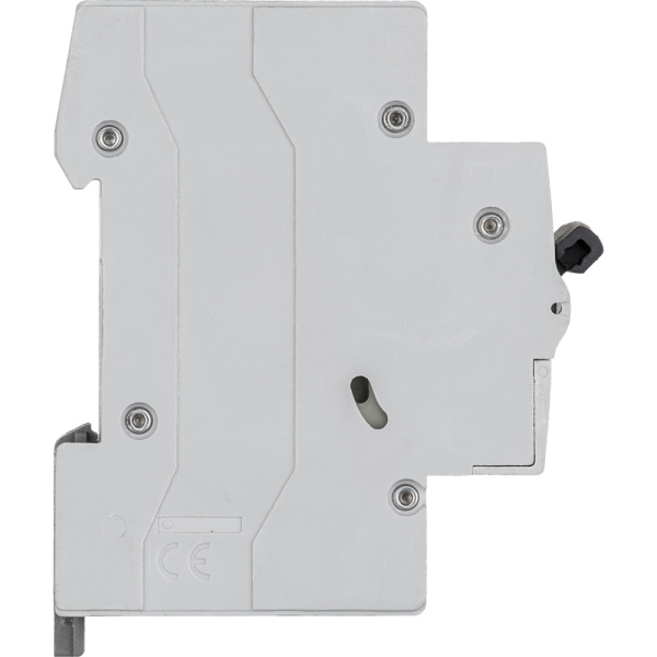 Купить Legrand RX3 Автоматический выключатель 2P 40А (C) 4,5kA 419701