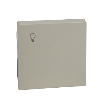 SE Merten SM Беж глянец Клавиша 1-ая с пиктограммой свет MTN438944