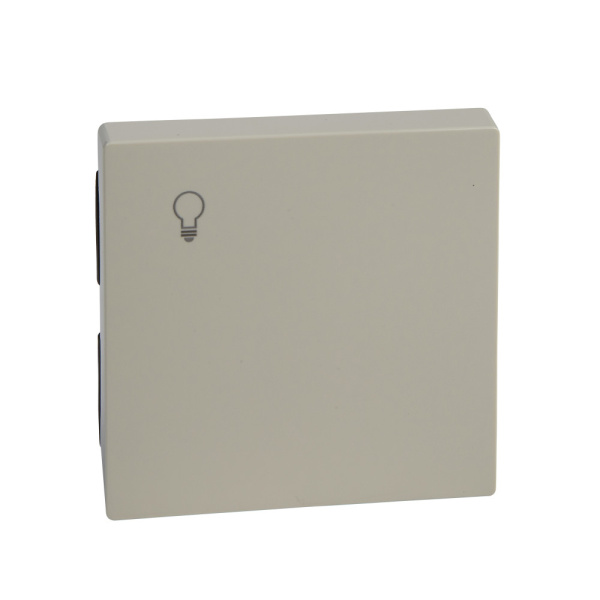 SE Merten SM Беж глянец Клавиша 1-ая с пиктограммой свет MTN438944