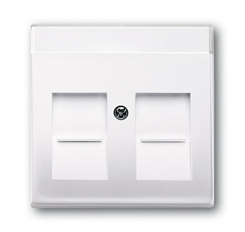 ABB BJB Basic 55 Бел Плата центральная  2-я для коммуникац розеток 0211 с суппортами 18** 2CKA001710A3945