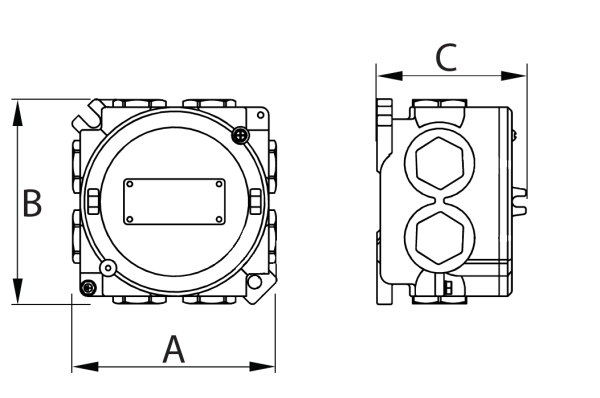 Купить СТ Коробка соединительная взрывозащищенная LTJB-IIC-RM-[0]-[LT-B-TS2MA(2/2/2/2)]