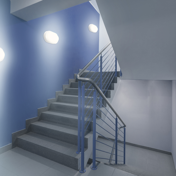 Купить Gauss Светильник ЖКХ Elementary овал 15W 1200lm 6500K 160-260V IP65 200*98*46мм белый LED 161411315