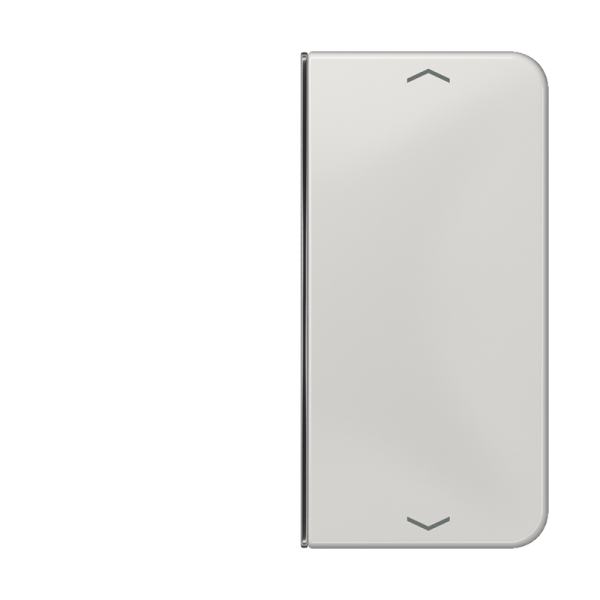 JUNG клавиша с символом для 2-клавишного пульта KNX, светло-серая, для серии CD CD402TSAPLG