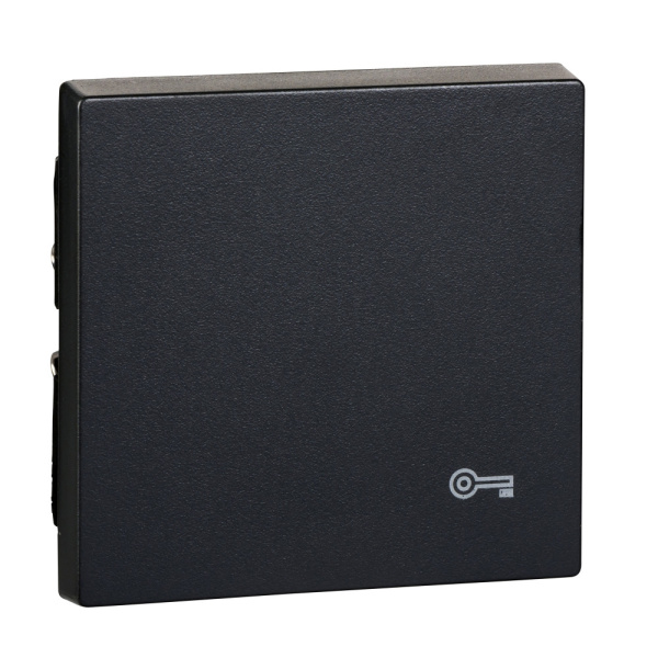 Купить SE Merten SM Антрацит Клавиша с пиктограммой «ключ» MTN3303-0414