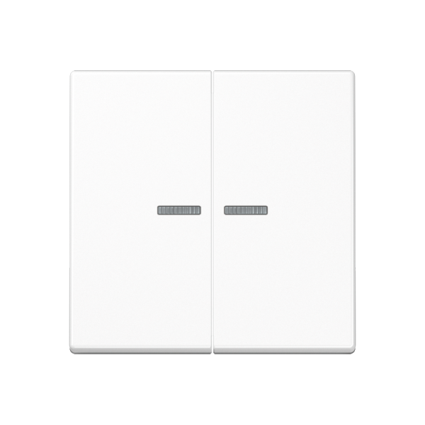 JUNG Клавиша для выключателя с подсветкой, белый A595BFKO5WW