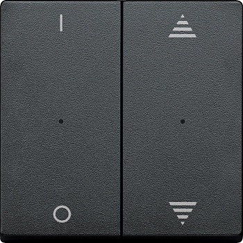 SE Merten KNX\EIB SM Антраицит Клавиша для модуля 2-кнопочного выключателя с символами ВВ/ВН, 1/0 (MTN625614)