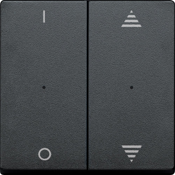 SE Merten KNX\EIB SM Антраицит Клавиша для модуля 2-кнопочного выключателя с символами ВВ/ВН, 1/0 (MTN625614)