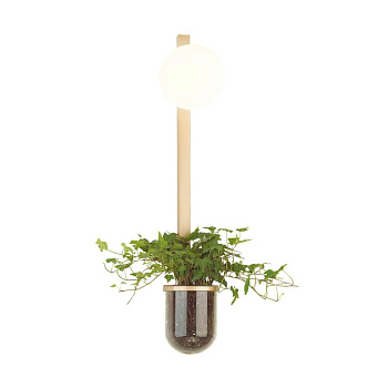 Odeon Light 4682/1WB ODL20 625 золото/белый Настенный светильник E14 1*40W 220V FLOWER