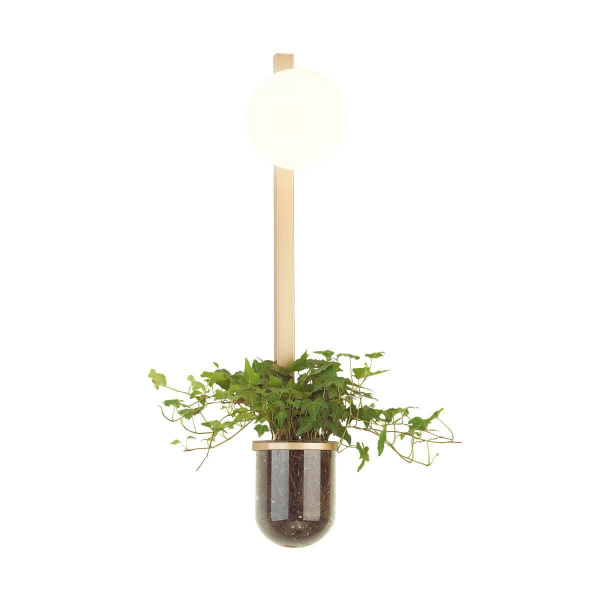 Odeon Light 4682/1WB ODL20 625 золото/белый Настенный светильник E14 1*40W 220V FLOWER