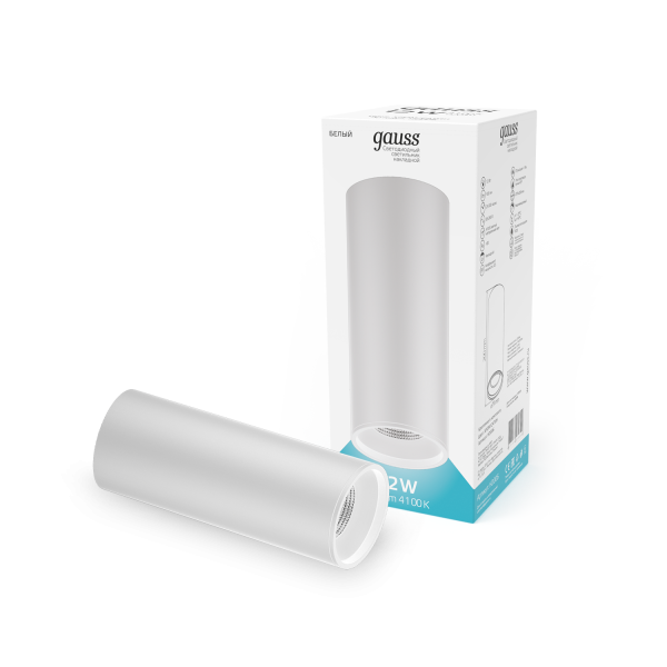 Купить Gauss Светильник Overhead накл цил 12W 920lm 4100K 170-240V IP20 79*200мм белый LED HD013