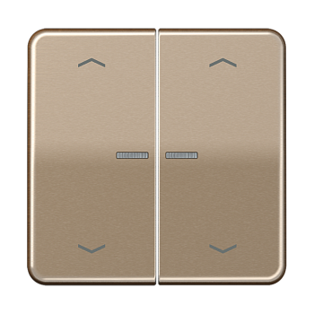 JUNG Клавиши для сдвоенной кнопки BCU золотая бронза CD595KO5MPGB