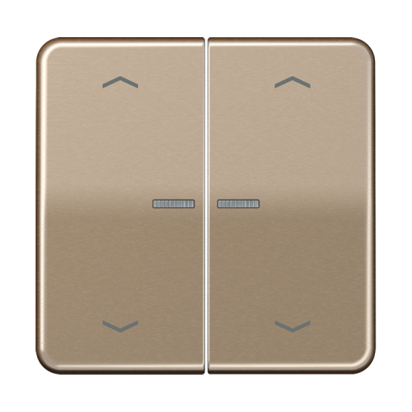 JUNG Клавиши для сдвоенной кнопки BCU золотая бронза CD595KO5MPGB