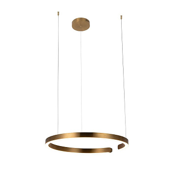LOFT IT 10013L Светильник подвесной Ring, шт LOFT IT 10013L Светильник подвесной Ring, шт