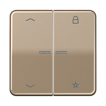 JUNG Центральная плата для вставок управления двигателями, золотая бронза CD1701PGB