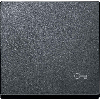 SE Merten SM Антрацит Клавиша с пиктограммой «ключ» MTN3303-0414