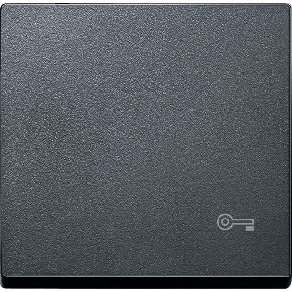 SE Merten SM Антрацит Клавиша с пиктограммой «ключ» MTN3303-0414