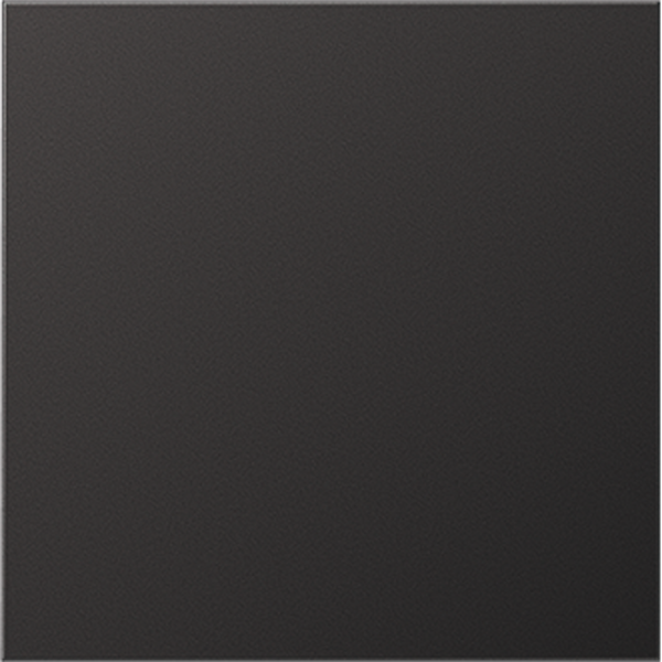 JUNG центральная плата для двойной розетки, British standart BS2172ALDPL