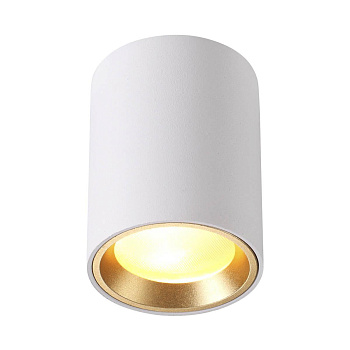 Odeon Light 4206/1C ODL20 188  белый/металл Потолочный светильник GU10 50W AQUANA  IP54