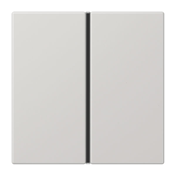 JUNG KNX Светло-серый Набор клавиш для Сенсор- модуль, одиночный LS401TSALG